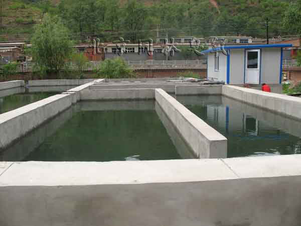 400g/h臭氧發(fā)生系統(tǒng)優(yōu)秀運行于水產所(1)