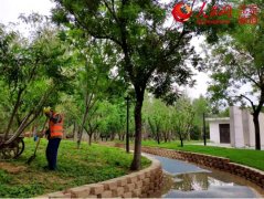 【建筑垃圾】建筑垃圾變身再生骨料，只差一臺(tái)移動(dòng)破碎機(jī)！